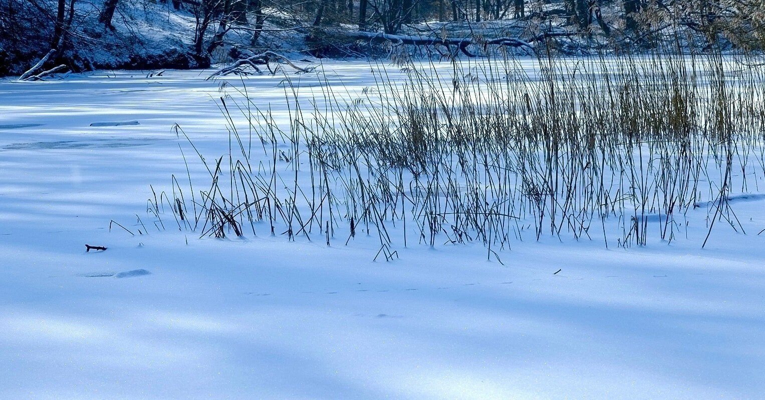 自分の幸せの尺度だけで もの言わないでよ ちびこ Note