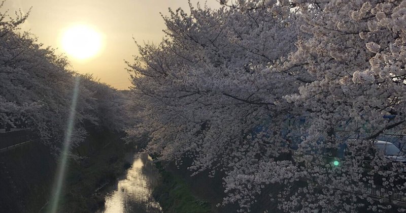 みんな違って みんな辛い れなこ Note