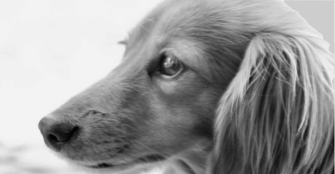 メモリーズオフ2nd 相摩希 シナリオ感想 佐島楓 Note