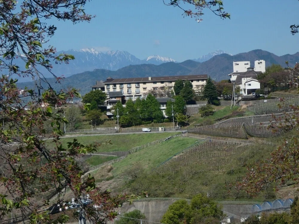 画像1