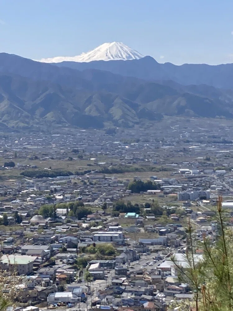 画像14