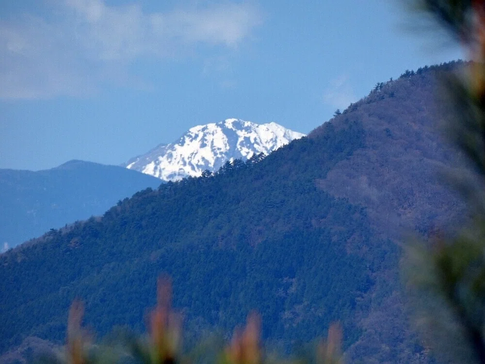 画像16