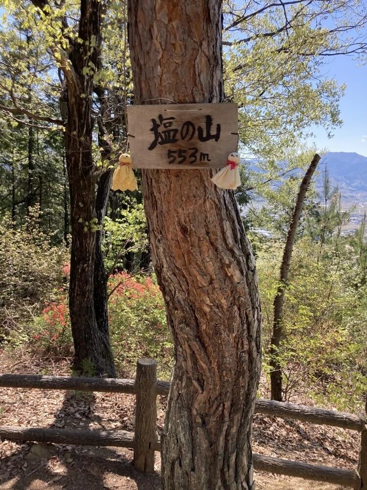 画像17