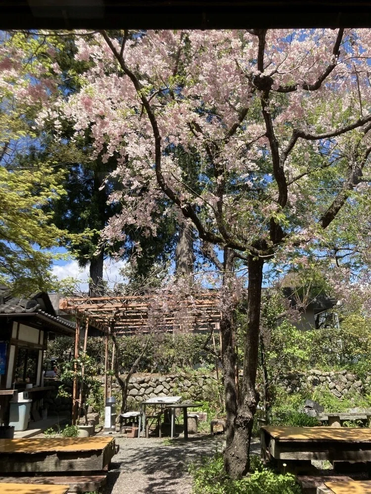 画像26