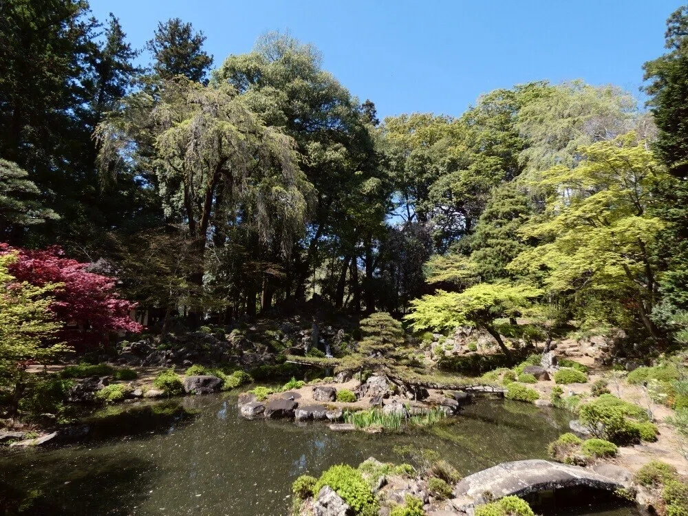 画像30