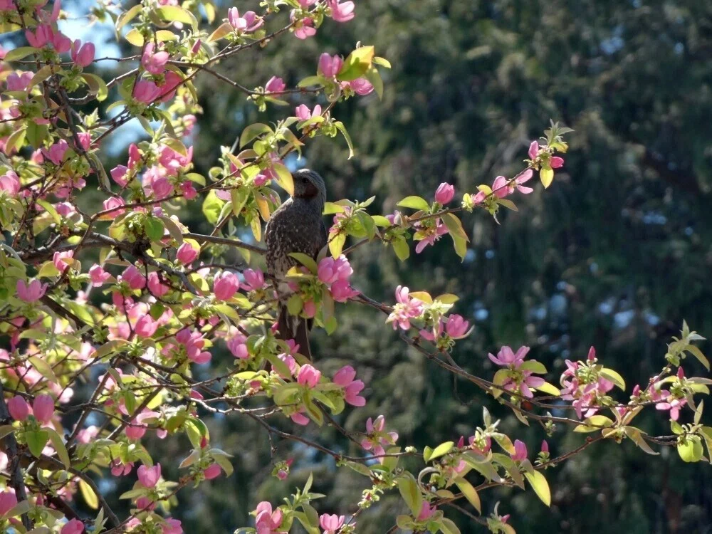 画像31