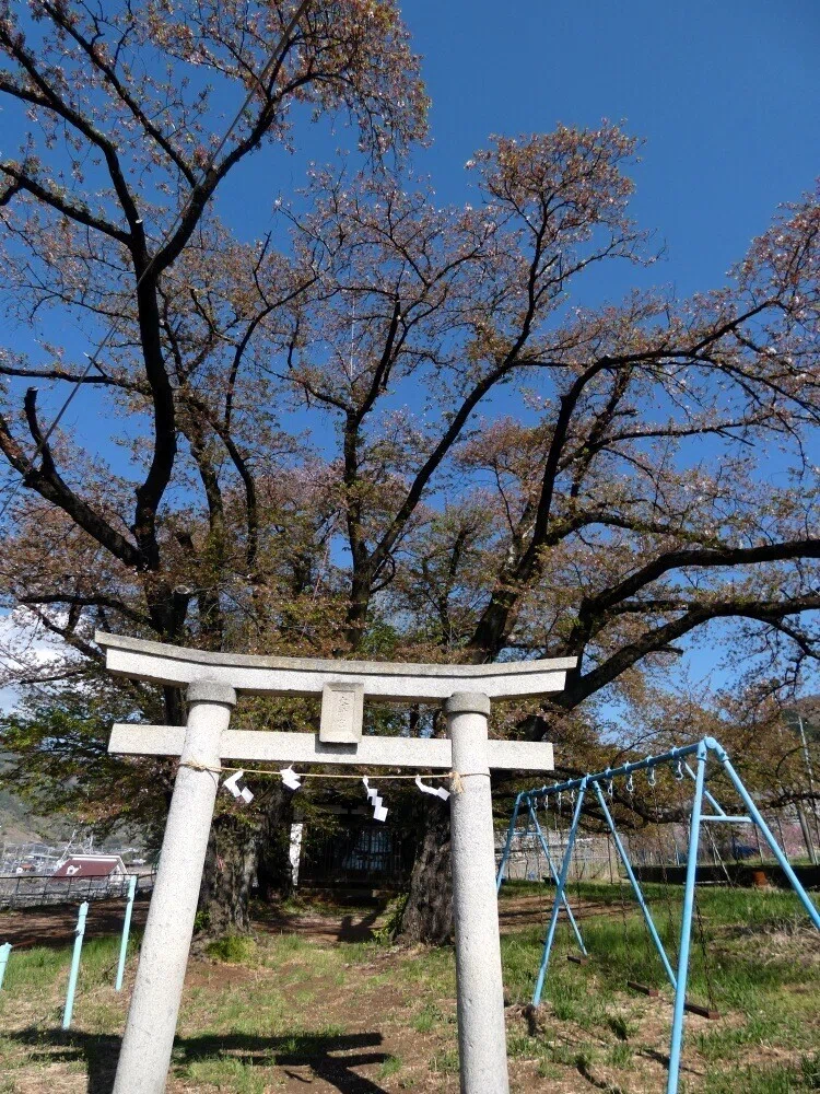 画像38