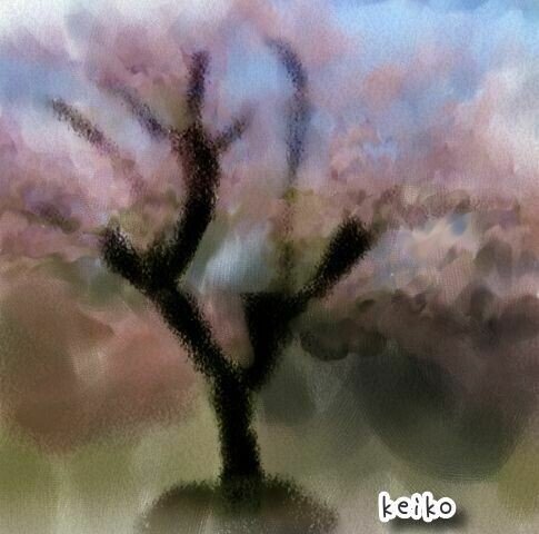 景徳院の桜_k