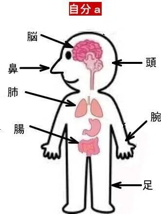 自分Aの原型