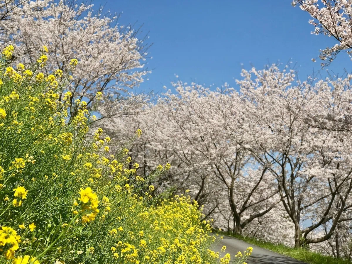 画像9
