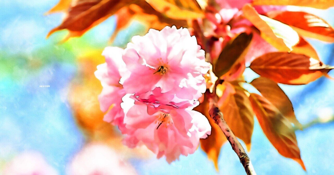 4月11日 誕生花は八重桜 誕生花短歌 御子柴 流歌 Note