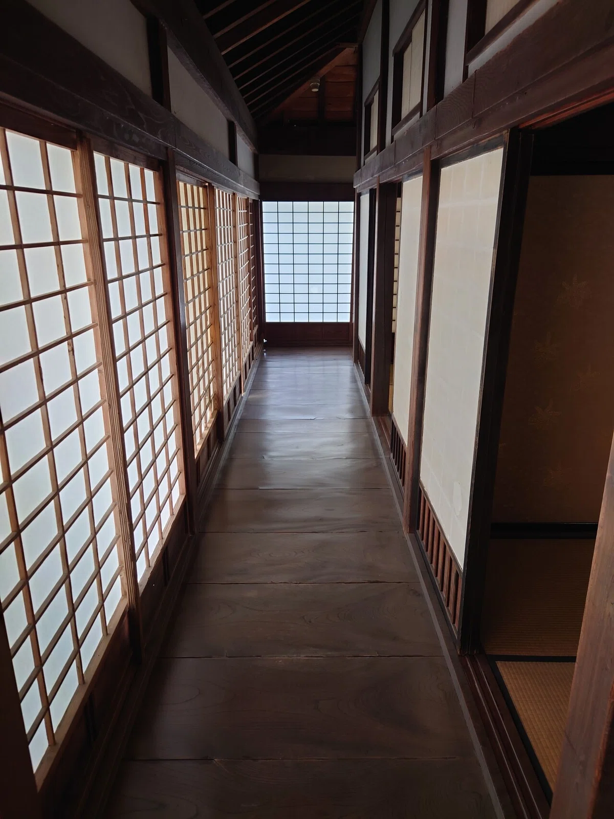 画像7