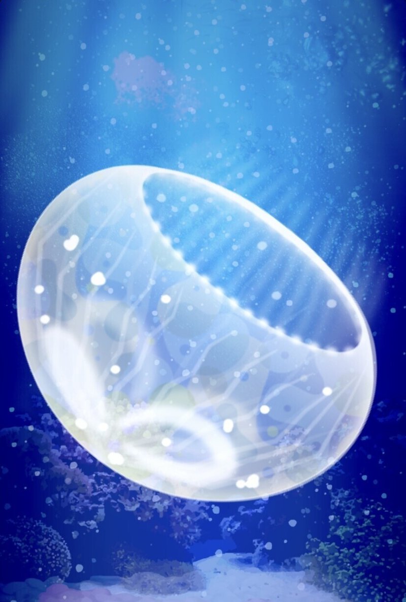 クラゲを育てて1861日目 十六夜 Note