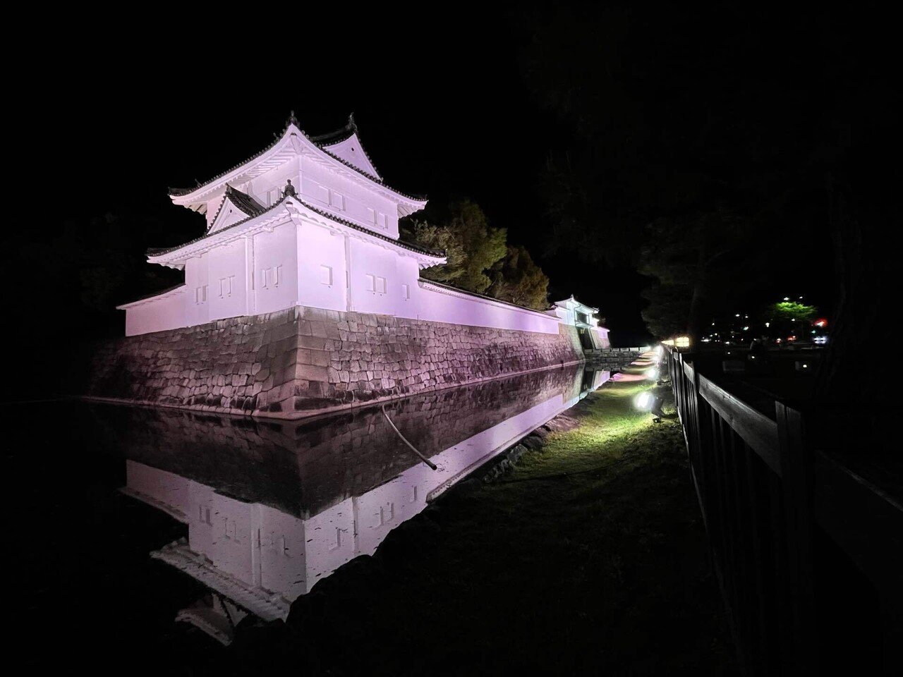 はせにゃむの撮影日記 中京区二条城桜ライトアップ2 はせにゃむ Note