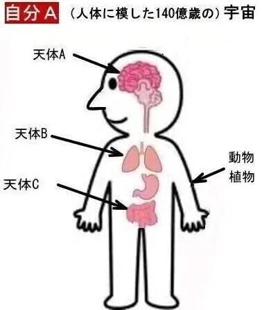 自分A