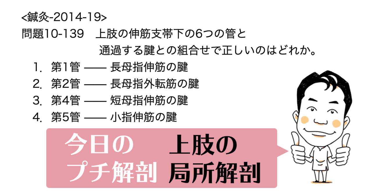 今日のプチ解剖 上肢の伸筋支帯下の6つの管と通過する腱との組合せで正しいのはどれ かずひろ先生 黒澤一弘 解剖学 Note