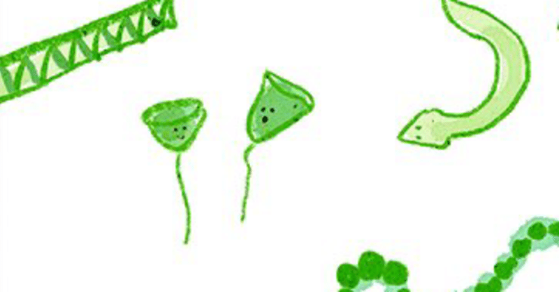 ツリガネムシ の新着タグ記事一覧 Note つくる つながる とどける