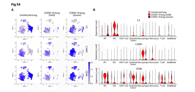 Sars Cov 2のjak1 2に依存する局所補体の過剰活性化についての論文 カイン Note