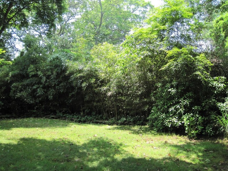 たけやぶやけた 焼けてないけど違法 シマフィー Note