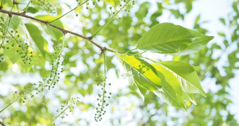 夢を掴む の新着タグ記事一覧 Note つくる つながる とどける 夢を掴む の新着タグ記事一覧 Note つくる つながる とどける