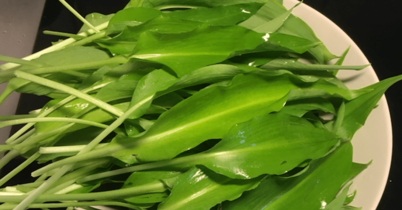 自然のニラを美味しくいただく話 In デンマーク ひぐち 北欧デンマーク Note