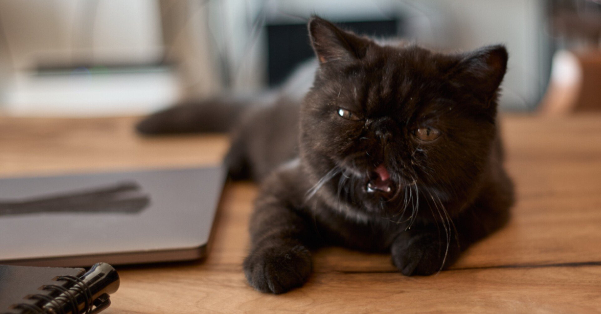 bdb96895a7e0ea73213d573c1bf537