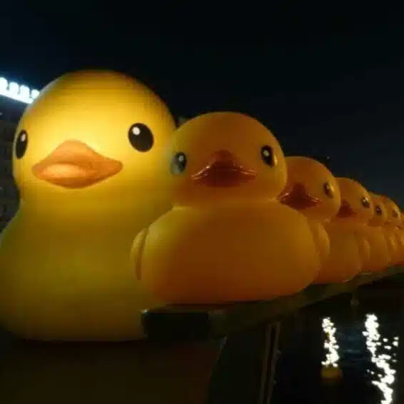 あゑか