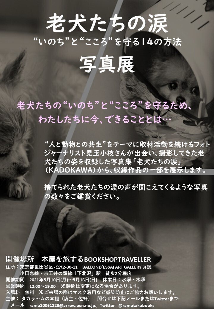 お知らせ 老犬たちの涙 写真展を開催します 東京開催決定しました タカラ ムの本棚 Note お知らせ 老犬たちの涙 写真展を開催します 東京開催決定しました タカラ ムの本棚 Note