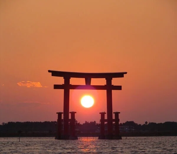 画像9