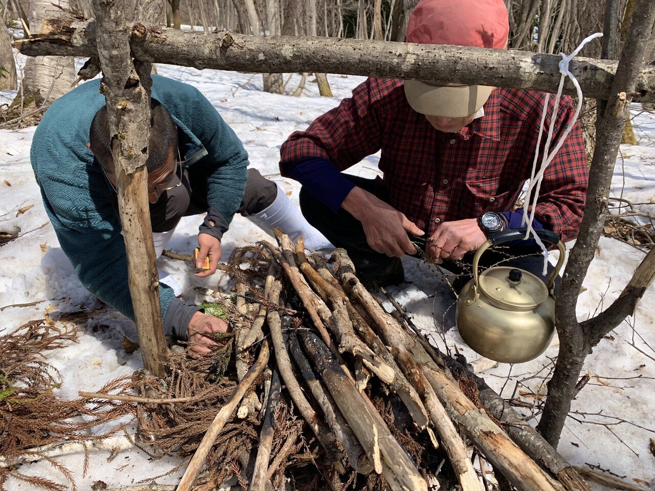 原木2.4m 白樺、楓、楡、楢、唐松等