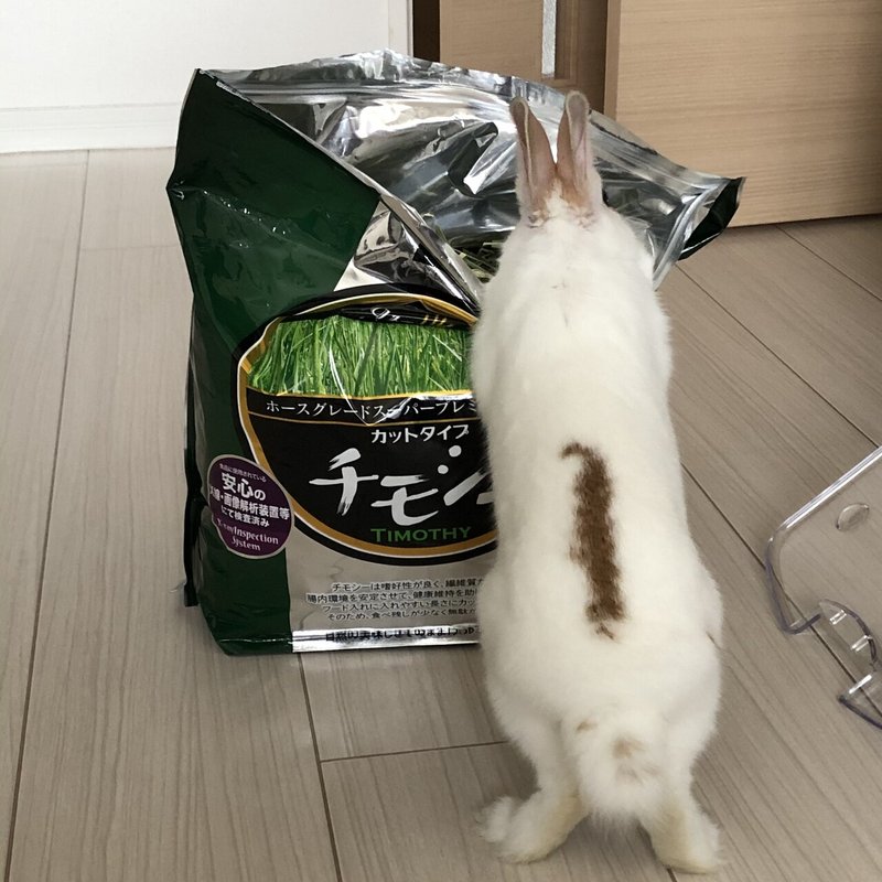 うさぎ はじめました You Note うさぎ はじめました You Note