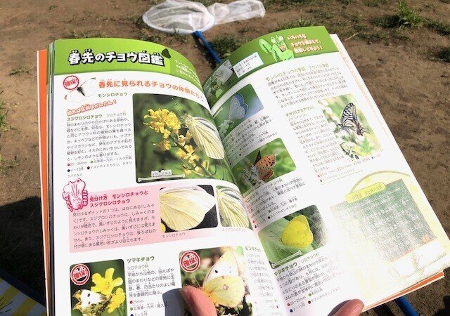 春 With 昆虫すごいぜ きいす Note