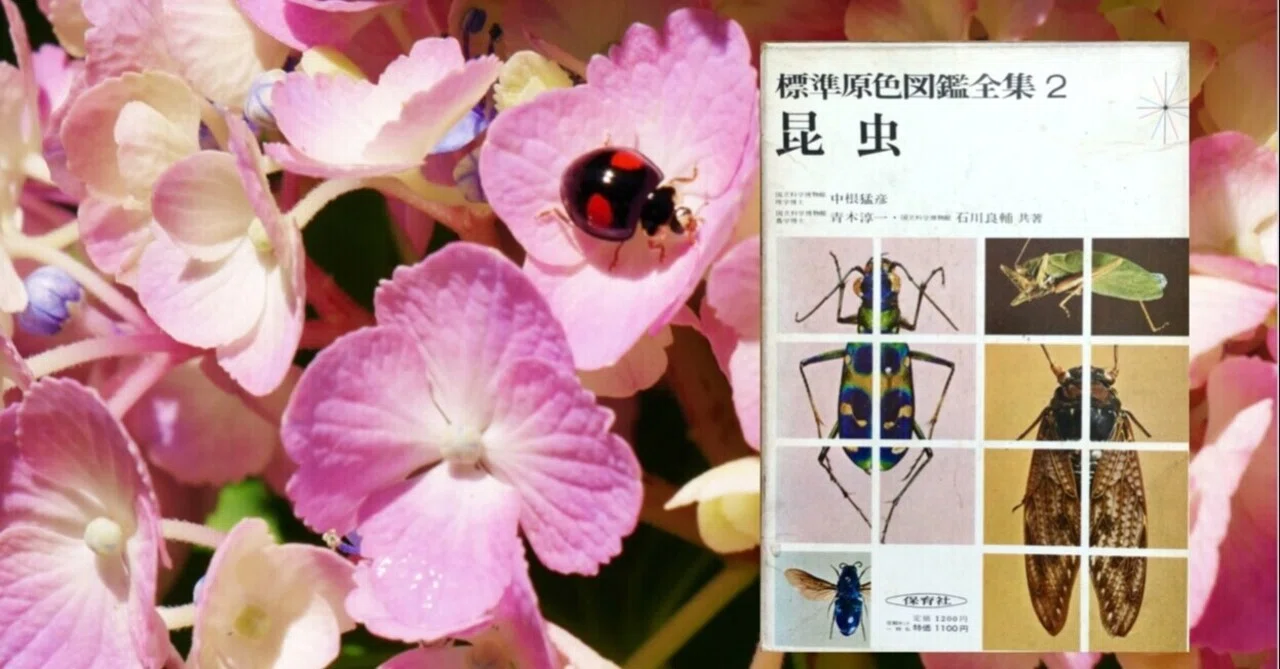 古い昆虫図鑑の話／記事紹介のお礼｜久露見庵(くろみ庵)@天気と気候と