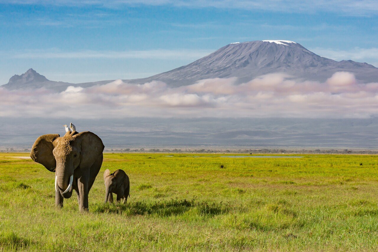行ってみたい世界の絶景 ケニア アンボセリ国立公園 キリマンジャロのすそ野に広がる広大な自然と動物たち Tabifleeeeek たびふりーく Note 行ってみたい世界の絶景 ケニア アンボセリ国立公園 キリマンジャロのすそ野に広がる広大な自然と動物たち Tabifleeeeek たびふりーく Note