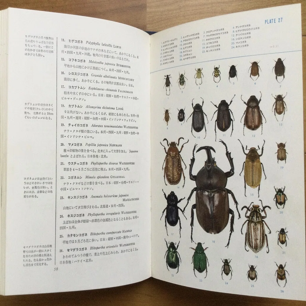 古い昆虫図鑑 古い昆虫図鑑の話／記事紹介のお礼｜久露見庵(くろみ庵)@天気と気候と