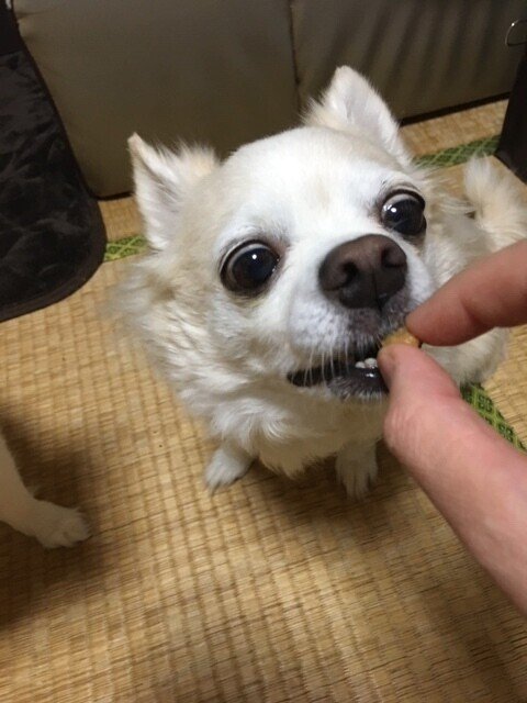 Vswknpl8akuuam Vswknpl8akuuam