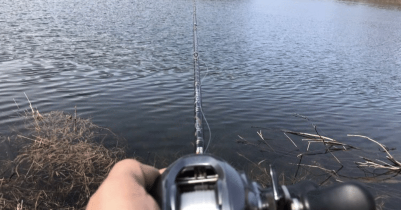 サトウの釣りnote 春の釣行 Co Do Note