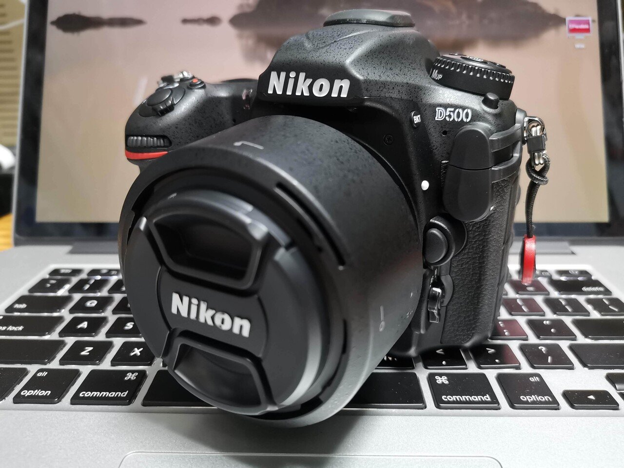 カメラ談義 #Nikon #ニコン #カメラ本体編｜Mattaka