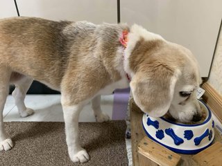 満月様顔貌 の新着タグ記事一覧 Note つくる つながる とどける 満月様顔貌 の新着タグ記事一覧 Note つくる つながる とどける