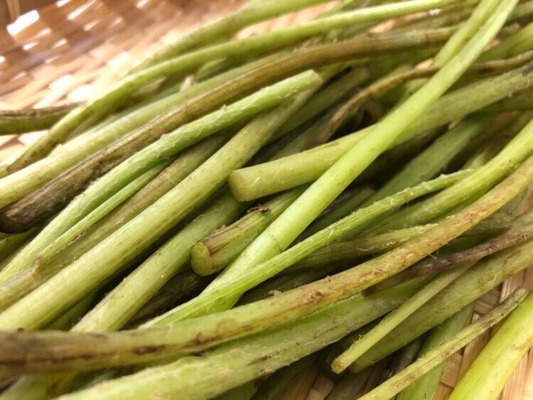 蕗の香りとほろ苦さを味わう蕗ご飯 レシピ ゆのきりょうこ Note