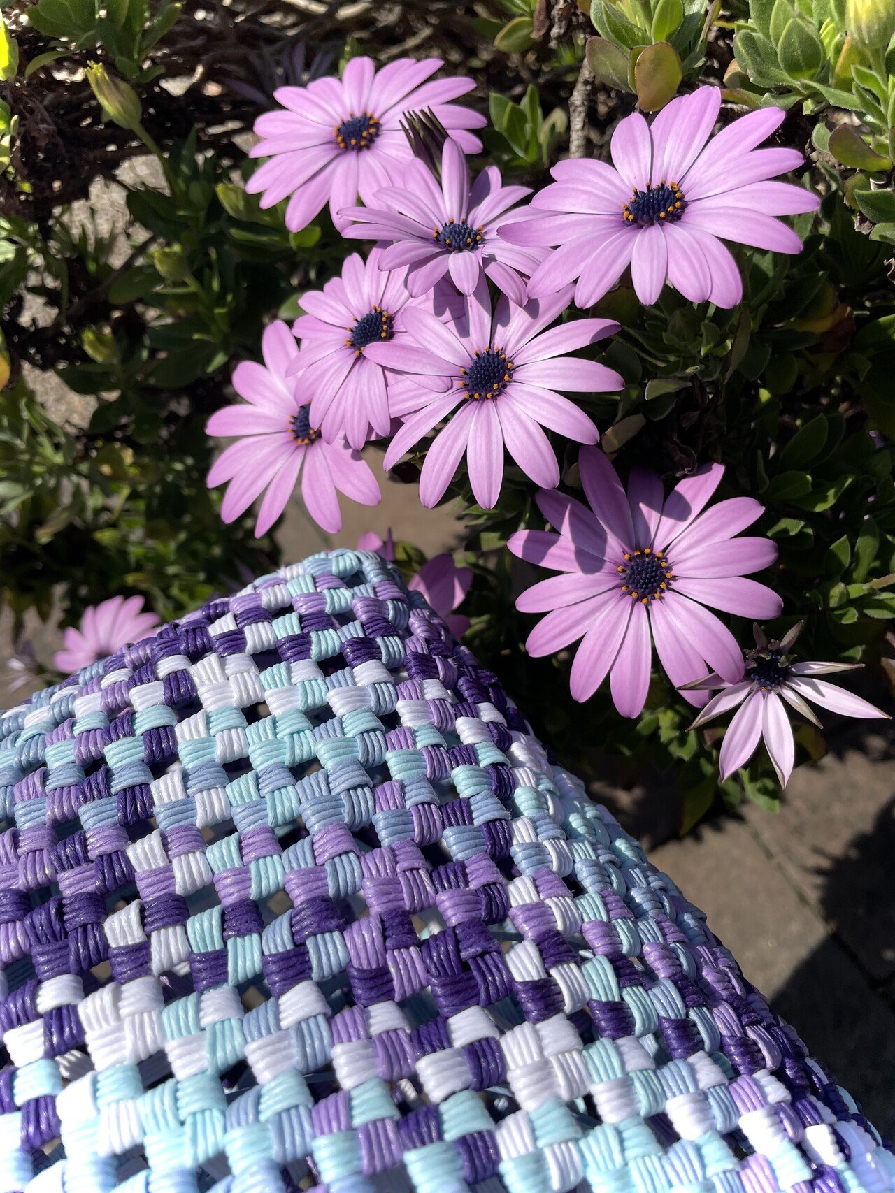 今日も一日お疲れ様でした 今作っているブルー系のバッグにちなんで 庭の花 ブルー系を探せ シリーズ 本日は第2回目 最終回です 早っ しかもこの花の名前 忘れてます Yuko ハンドメイド クリエイター Note 今日も一日お疲れ様でした 今作っているブルー系のバッグにちなんで 庭の花 ブルー系を探せ シリーズ 本日は第2回目 最終回です 早っ しかもこの花の名前 忘れてます Yuko ハンドメイド クリエイター Note
