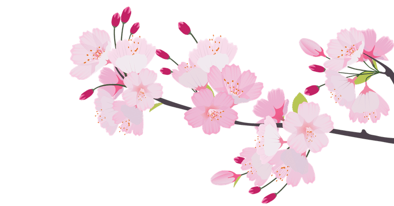 桜舞い散る公園で子供が泣く 不器用な管理栄養士ぺくちん Note