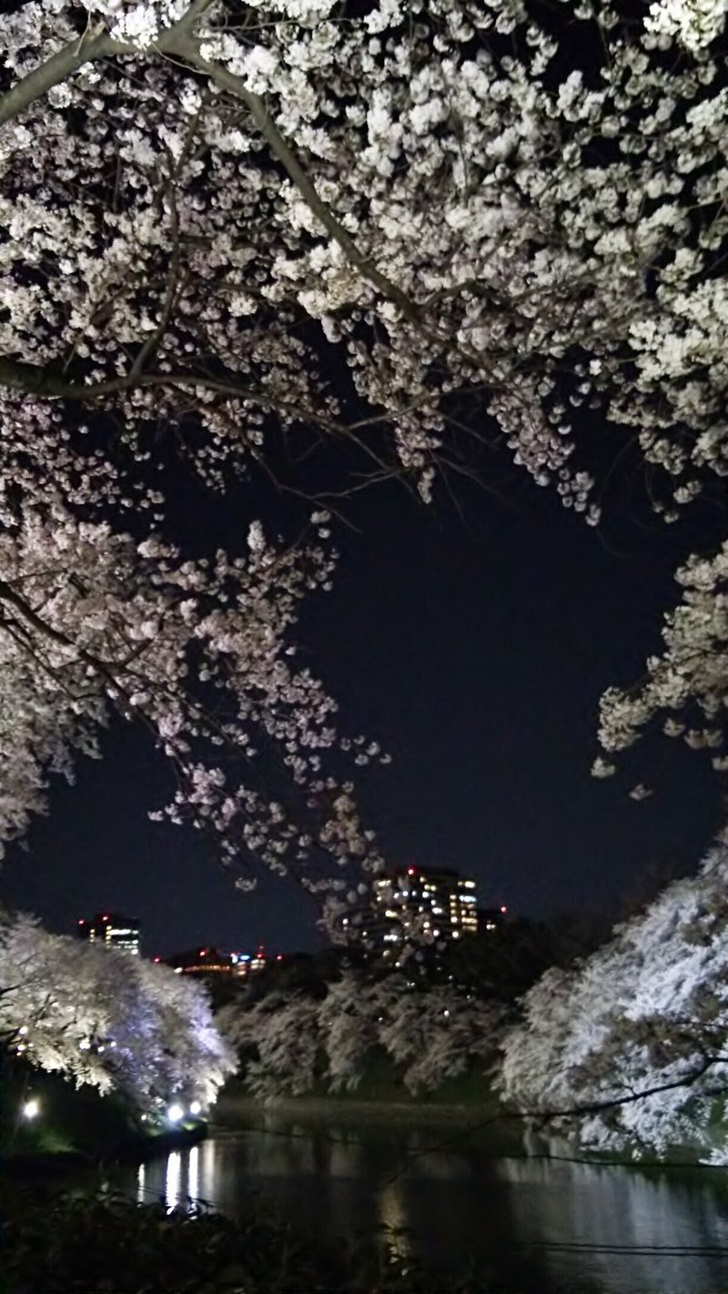 今日のイラストマンガ 東京生活のんびりさんぽ カコロク 千鳥ヶ淵の桜 描きました みうちえ Note 今日のイラストマンガ 東京生活のんびりさんぽ カコロク 千鳥ヶ淵の桜 描きました みうちえ Note