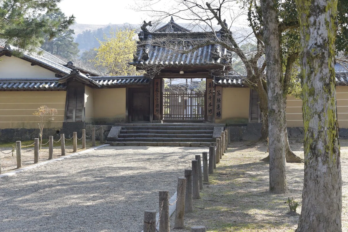 画像7