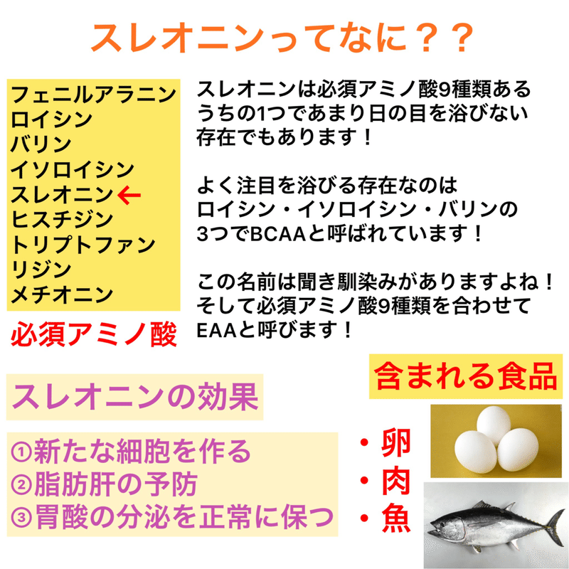 必須アミノ酸スレオニンの持つ作用 阿部 陸 筋トレの価値を伝えるトレーナー Note