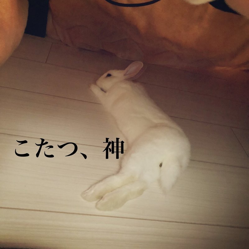 うさぎ はじめました You Note