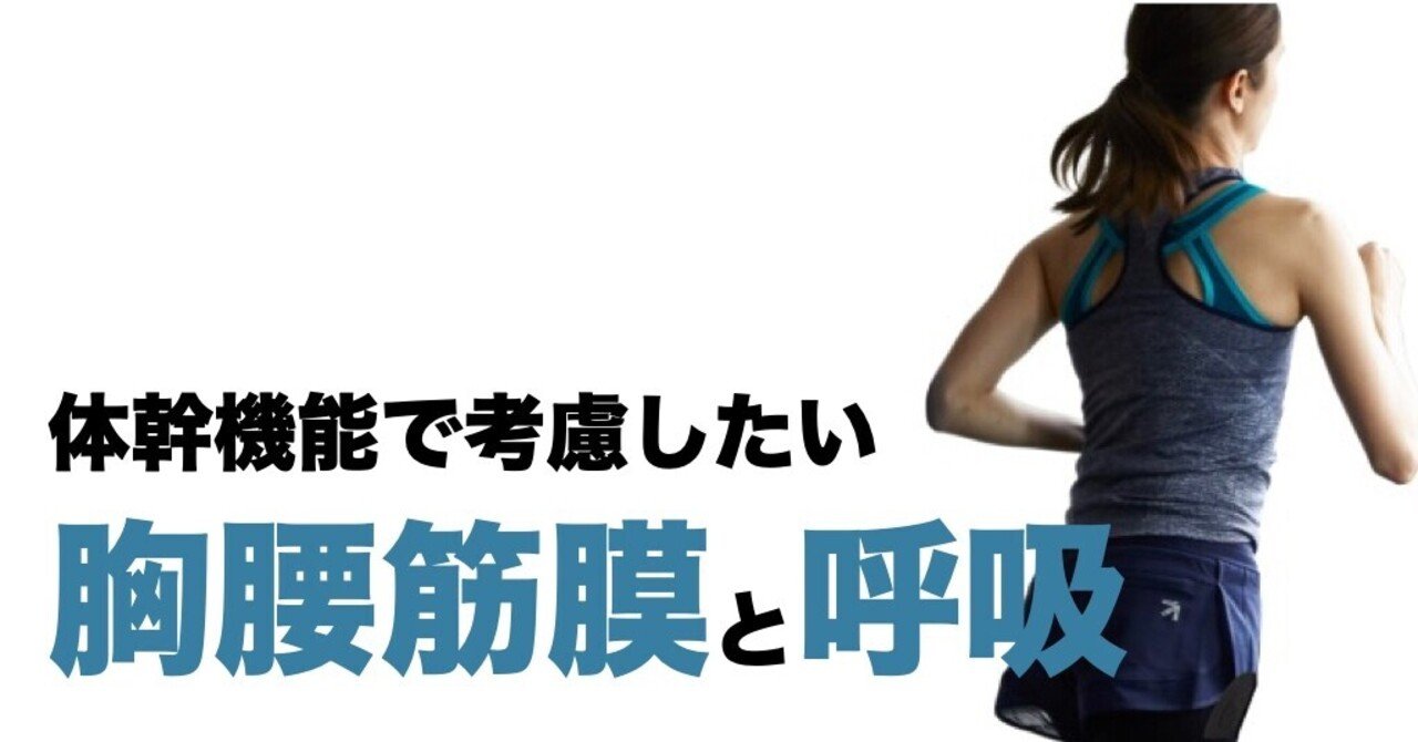 体幹機能で考慮したい胸腰筋膜と呼吸 平 純一朗 理学療法士 アスレティックトレーナーnote Note