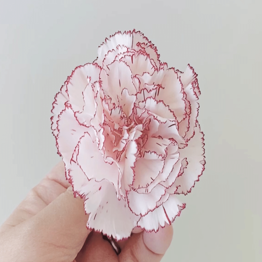 シリカフラワーの作り方 カーネーション Natural Coeur ナチュラル クー Note