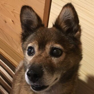 ほぼリアルタイムうつ病体験記 顔面神経麻痺 Ken Note