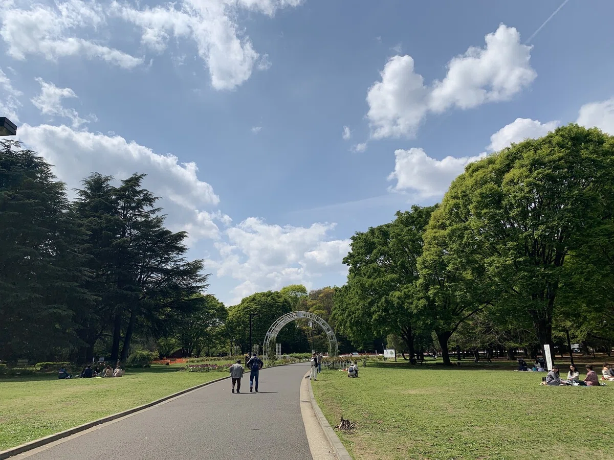 画像1